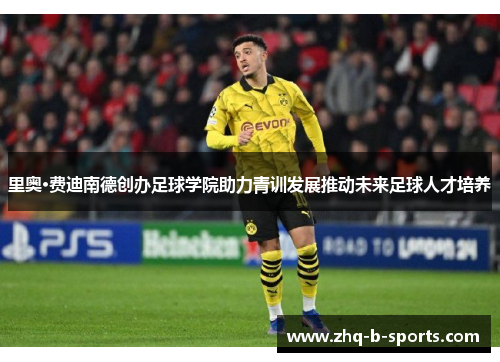 里奥·费迪南德创办足球学院助力青训发展推动未来足球人才培养
